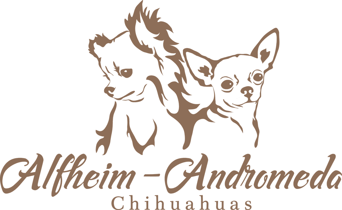Alfheim-Andromeda Chihuahuas