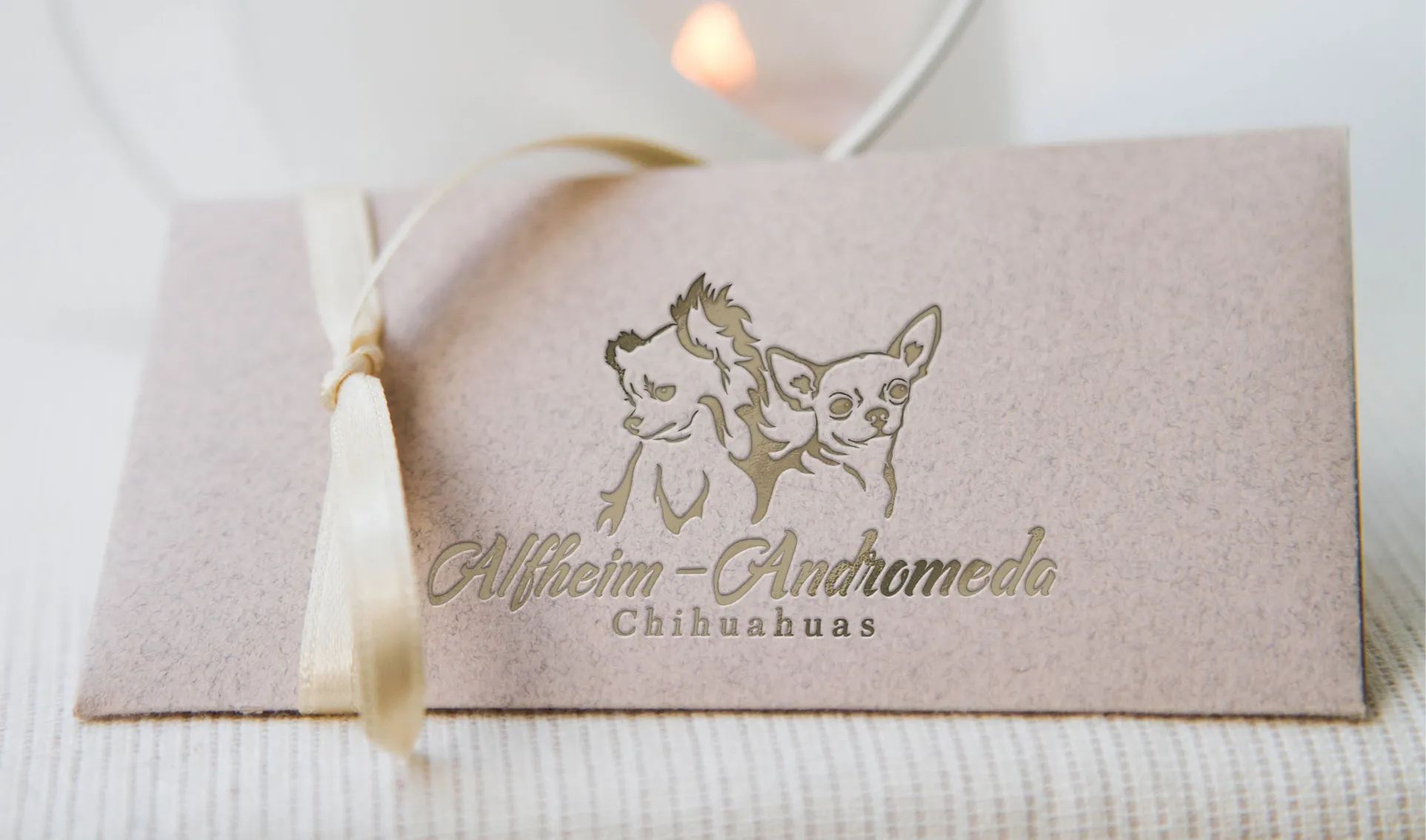 The Alfheim-Andromeda logo pressed on a cream card