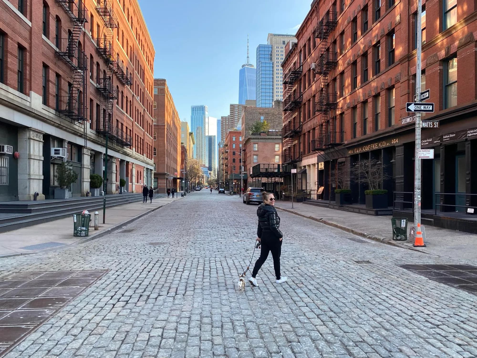 An A & A Chihuahua out on a city street