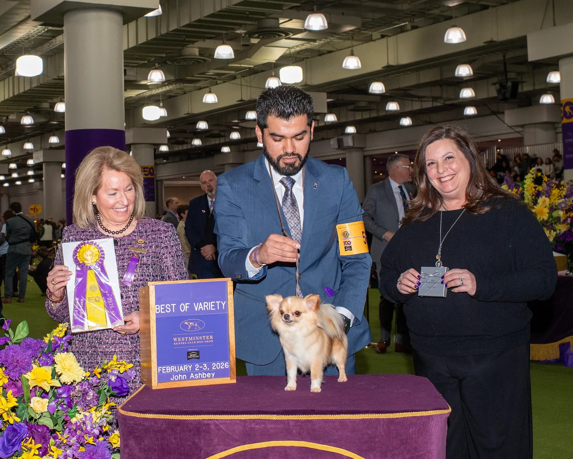 Wanda, Best of Variety at Westminster Kennel Club 150th, 2026