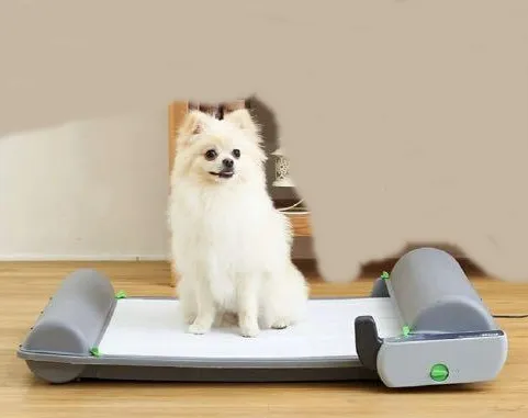 BrilliantPad Smart Potty System