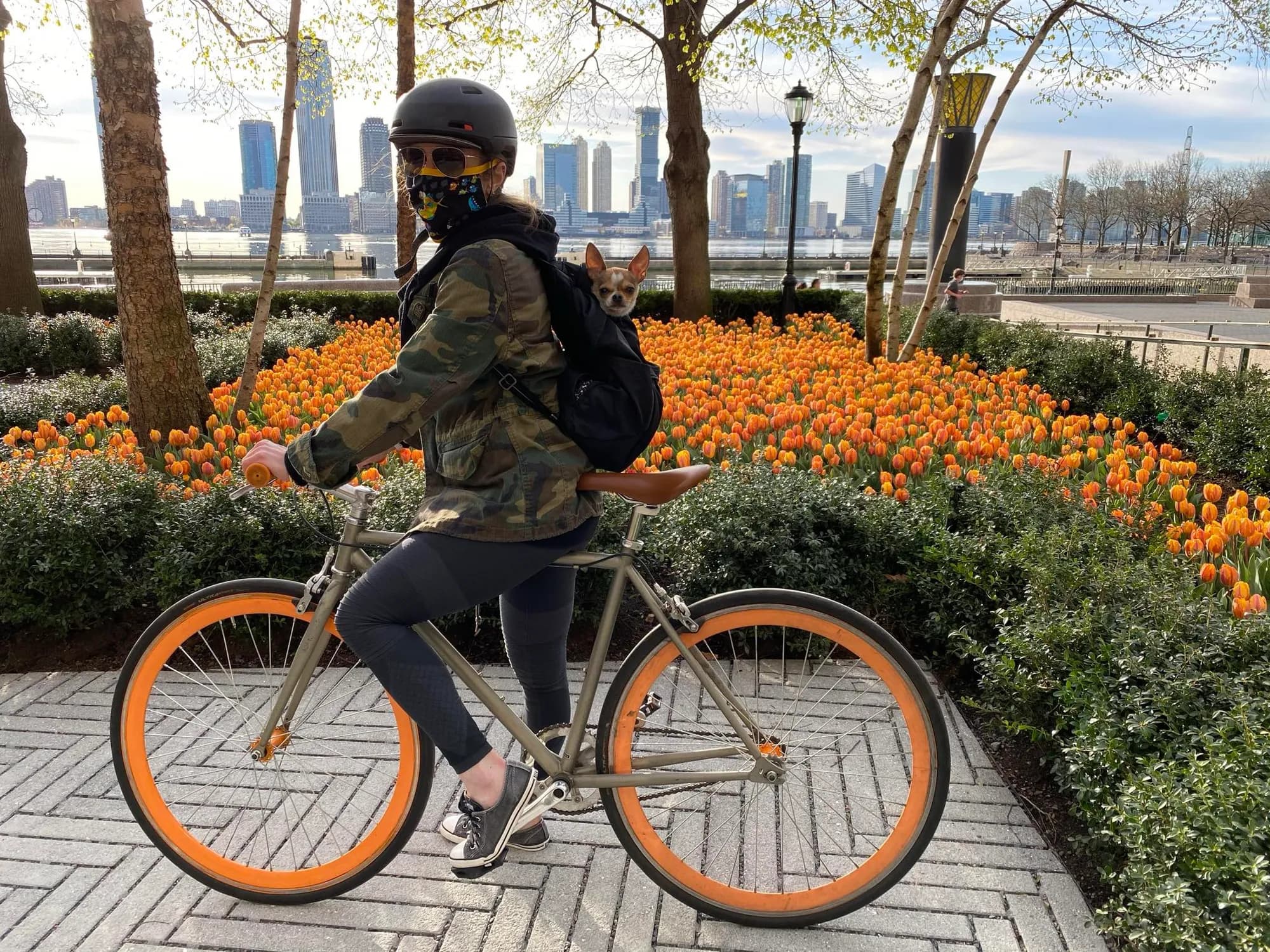 Butters riding along on a bike ride through the city