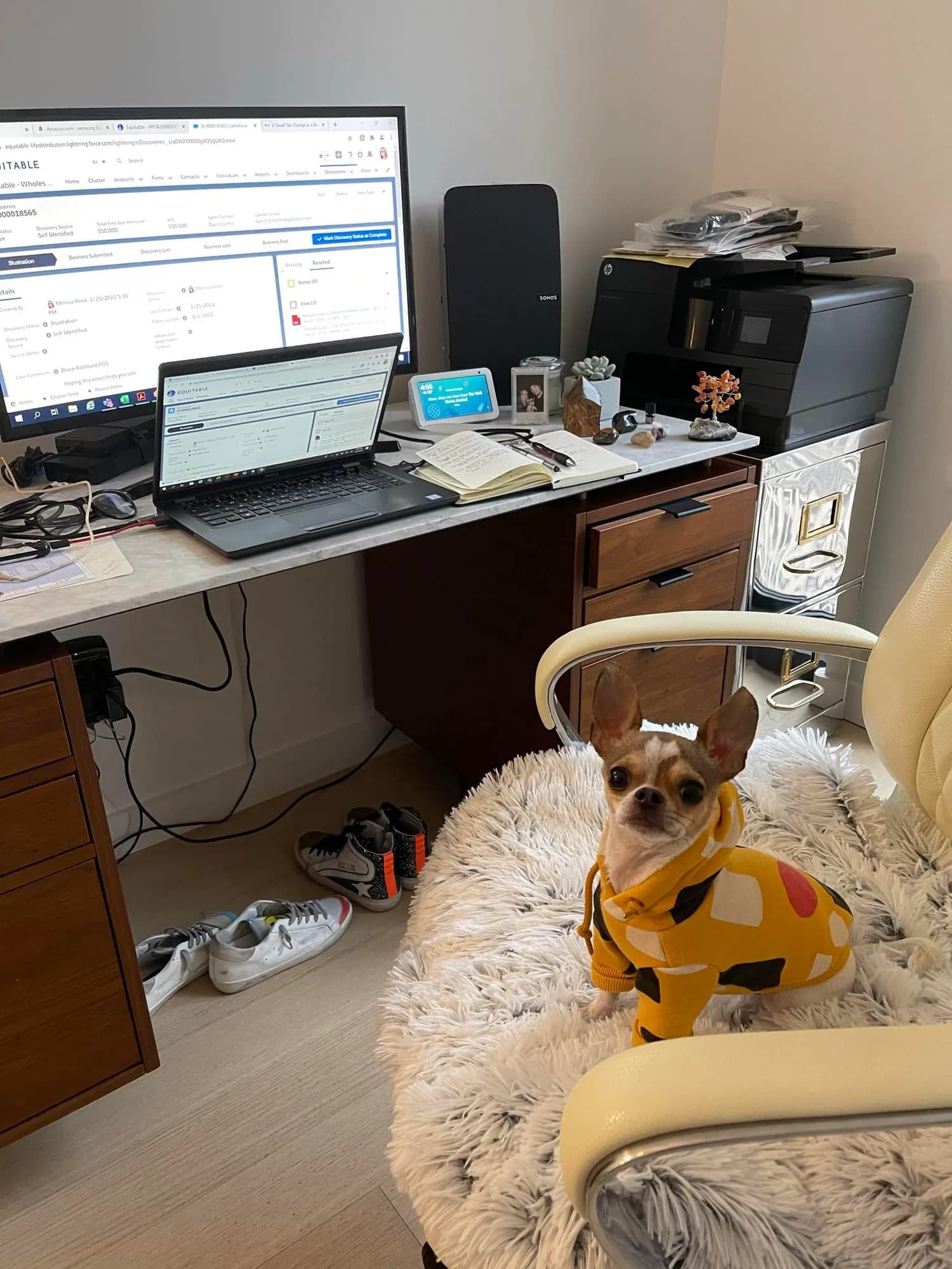 Butters curled up beside a desk