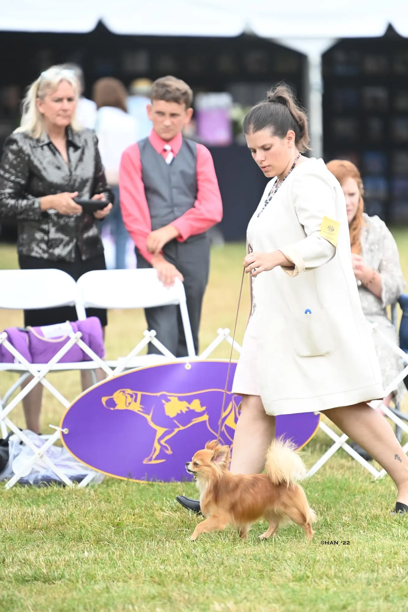 The Art of Dog Showing: Navigating the Ring with Skill and Determination